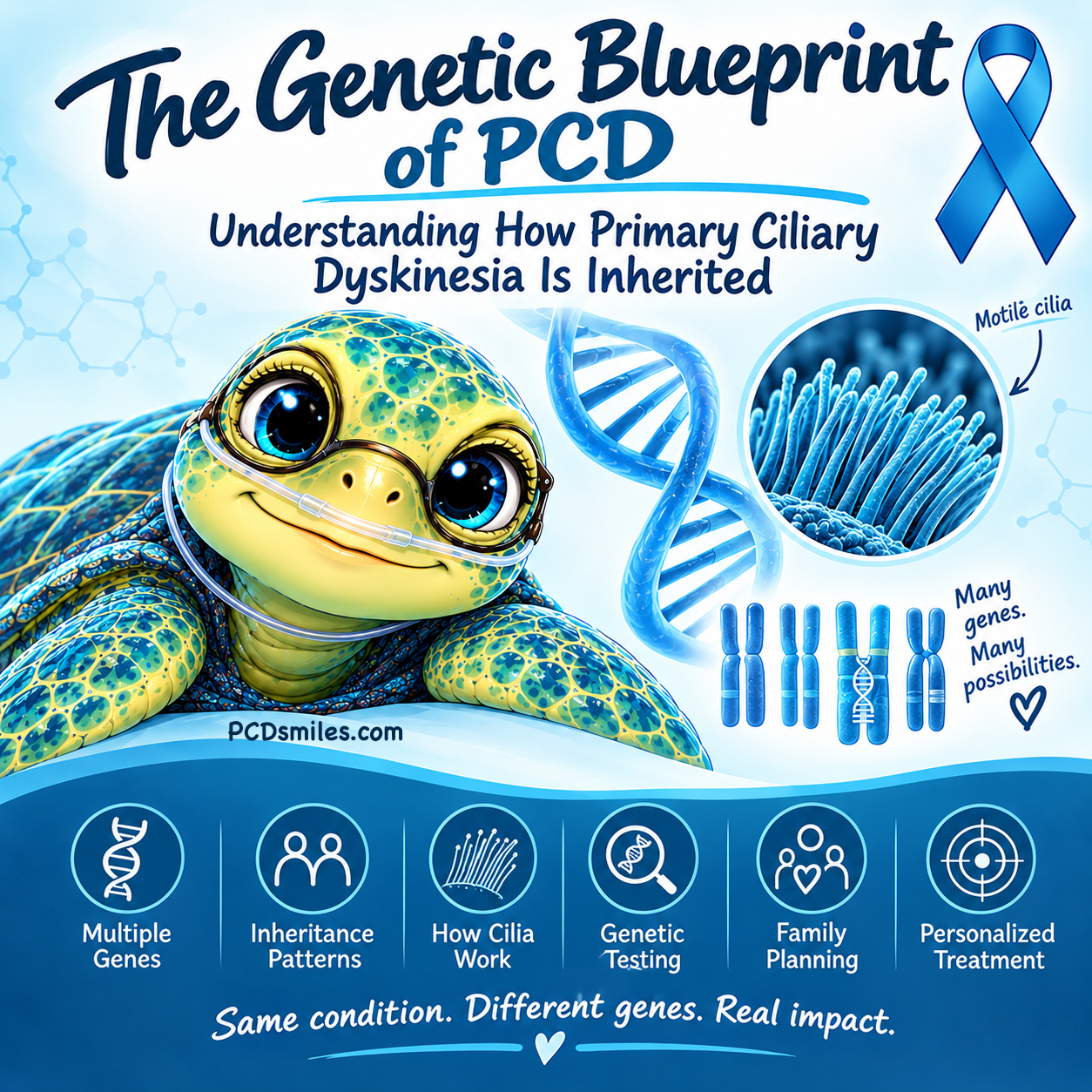 The Genetic Blueprint of PCD: Understanding How Primary Ciliary Dyskinesia Is Inherited